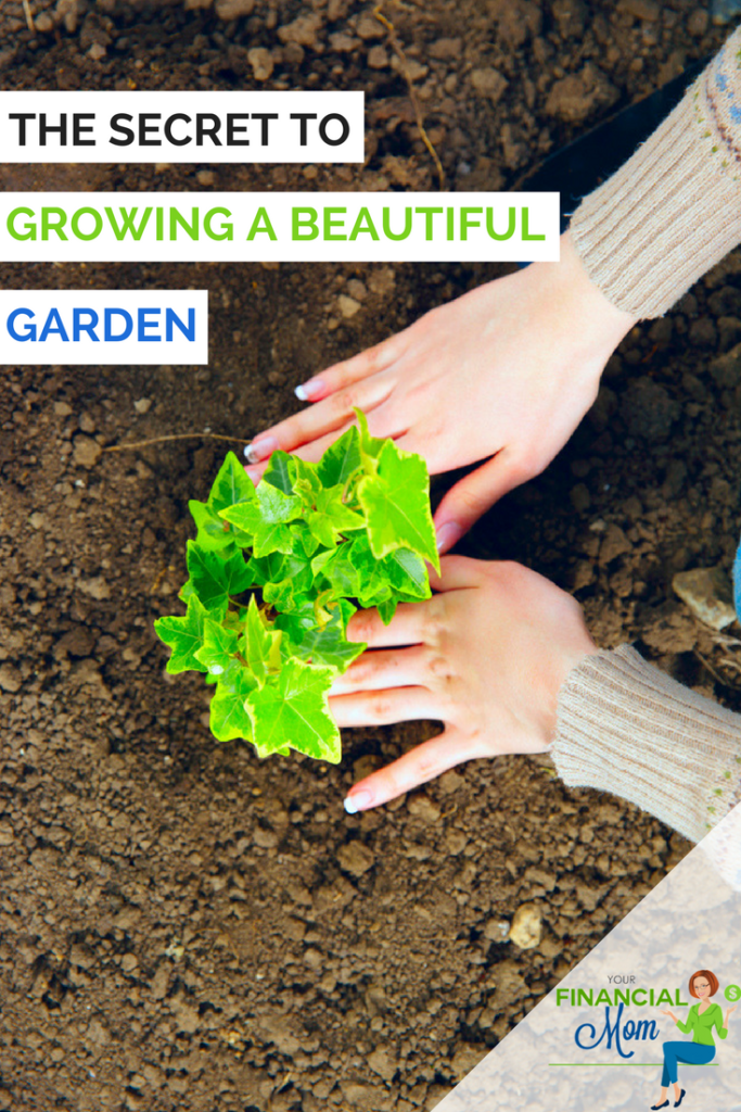 The Secret to Growing a Beautiful Garden